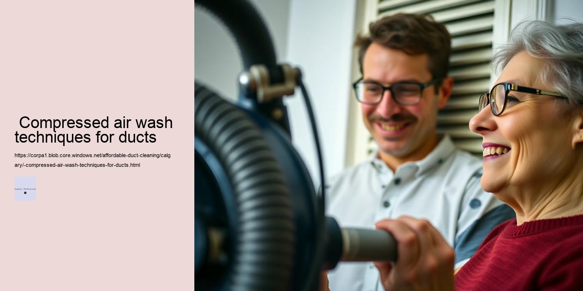 Compressed air wash techniques for ducts