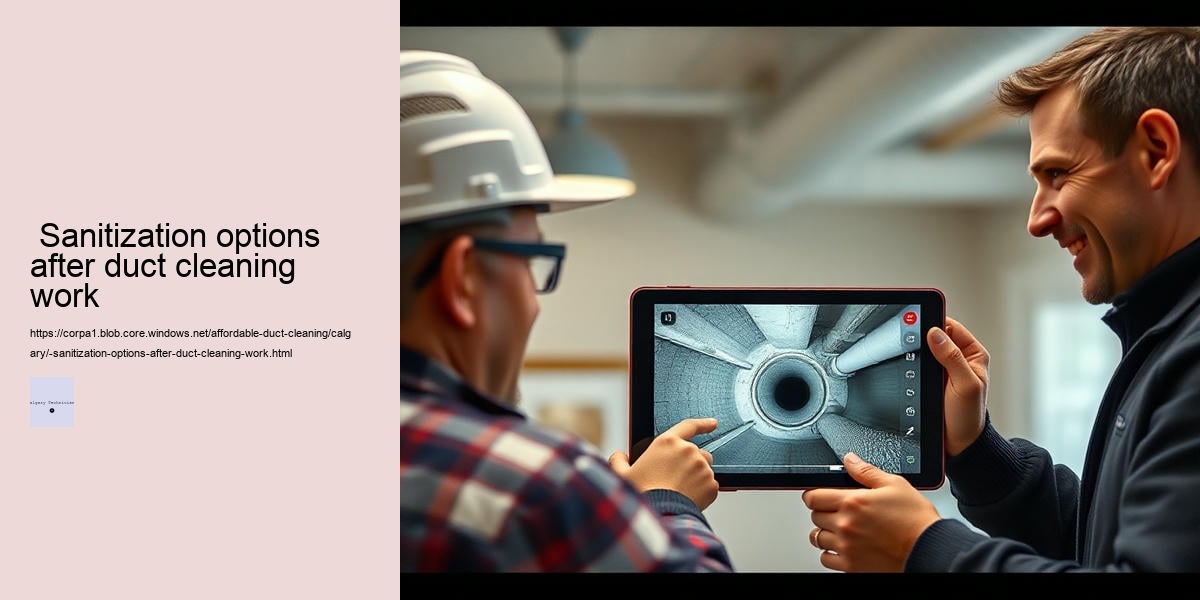 Sanitization options after duct cleaning work