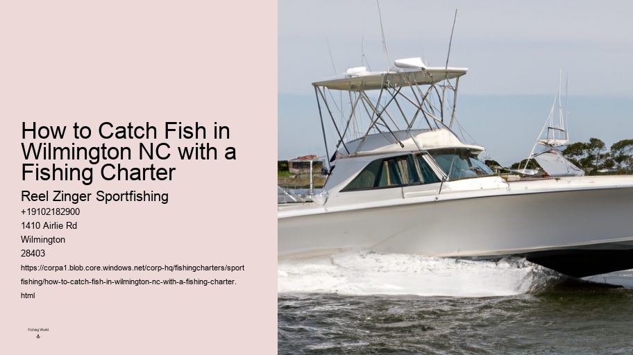 How to Catch Fish in Wilmington NC with a Fishing Charter