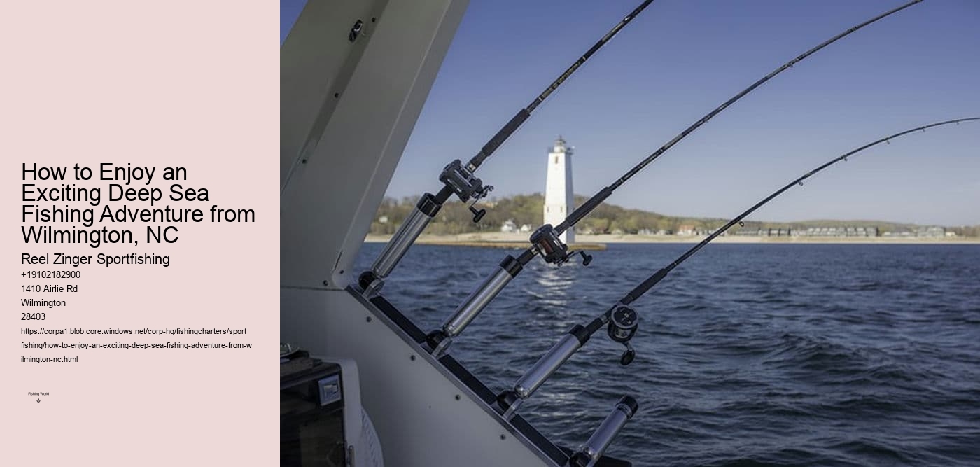 How to Enjoy an Exciting Deep Sea Fishing Adventure from Wilmington, NC 